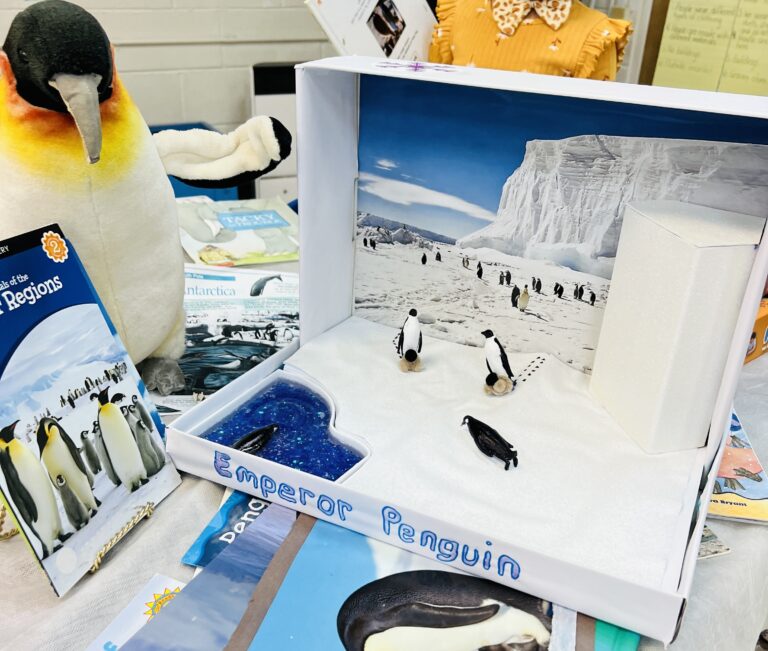 Kindergarten Polar Region Projects